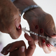 Illustration for article titled Woman Dies After Cops Refuse to Give Her Insulin